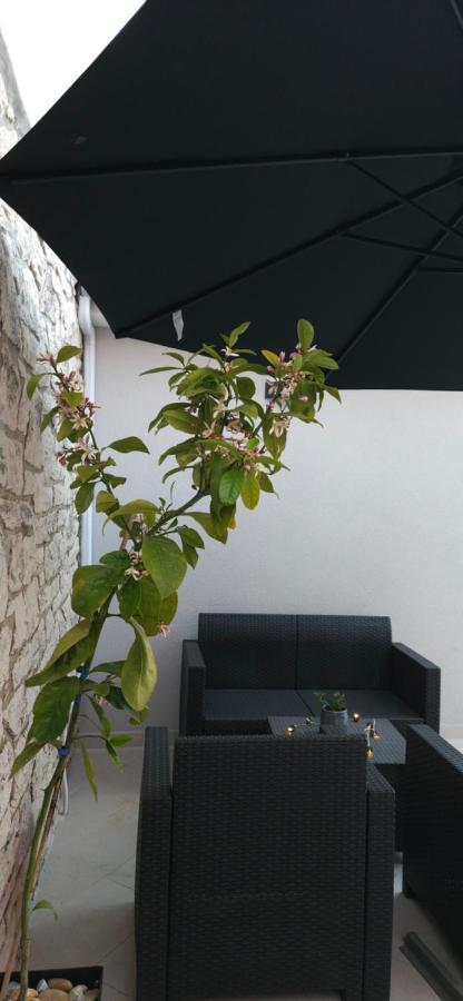 Betty Apartments Borik - Whole Ground Floor Rovinj Eksteriør billede